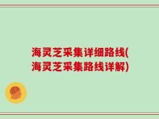 海灵芝采集详细路线(海灵芝采集路线详解)