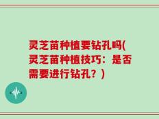 灵芝苗种植要钻孔吗(灵芝苗种植技巧：是否需要进行钻孔？)