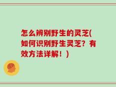 怎么辨别野生的灵芝(如何识别野生灵芝？有效方法详解！)
