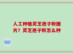 人工种植灵芝孢子粉图片？灵芝孢子粉怎么种