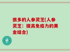 很多的人参灵芝(人参灵芝：提高免疫力的黄金组合)