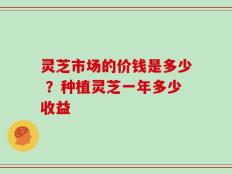 灵芝市场的价钱是多少 ？种植灵芝一年多少收益