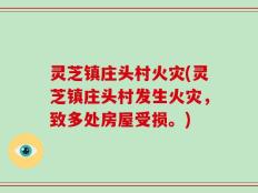 灵芝镇庄头村火灾(灵芝镇庄头村发生火灾，致多处房屋受损。)