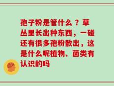 孢子粉是管什么 ？草丛里长出种东西，一碰还有很多孢粉散出，这是什么呢植物、菌类有认识的吗