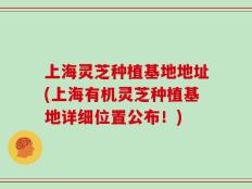上海灵芝种植基地地址(上海有机灵芝种植基地详细位置公布！)
