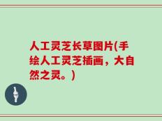 人工灵芝长草图片(手绘人工灵芝插画，大自然之灵。)
