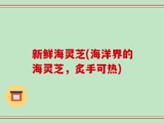 新鲜海灵芝(海洋界的海灵芝，炙手可热)