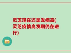 灵芝现在还是发病高(灵芝疫情高发期仍在进行)
