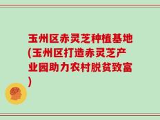 玉州区赤灵芝种植基地(玉州区打造赤灵芝产业园助力农村脱贫致富)