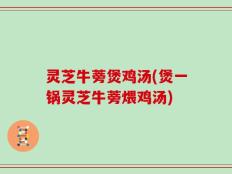 灵芝牛蒡煲鸡汤(煲一锅灵芝牛蒡煨鸡汤)