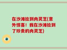 在沙滩捡到肉灵芝(意外惊喜！我在沙滩捡到了珍贵的肉灵芝)