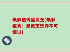 焕彩植秀黑灵芝(焕彩植秀：黑灵芝营养不可错过)