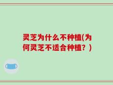 灵芝为什么不种植(为何灵芝不适合种植？)