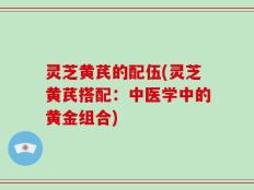 灵芝黄芪的配伍(灵芝黄芪搭配：中医学中的黄金组合)