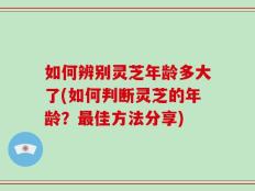 如何辨别灵芝年龄多大了(如何判断灵芝的年龄？最佳方法分享)