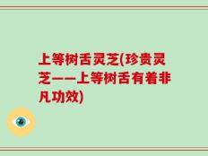 上等树舌灵芝(珍贵灵芝——上等树舌有着非凡功效)