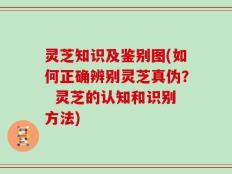灵芝知识及鉴别图(如何正确辨别灵芝真伪？  灵芝的认知和识别方法)