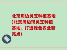 北京周边灵芝种植基地(北京周边现灵芝种植基地，打造绿色农业新亮点)