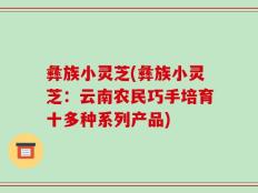 彝族小灵芝(彝族小灵芝：云南农民巧手培育十多种系列产品)