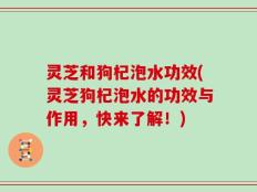 灵芝和狗杞泡水功效(灵芝狗杞泡水的功效与作用，快来了解！)