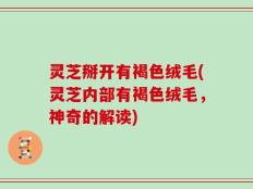 灵芝掰开有褐色绒毛(灵芝内部有褐色绒毛，神奇的解读)