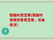 梨园村灵芝草(梨园村发现珍贵灵芝草，引来关注)