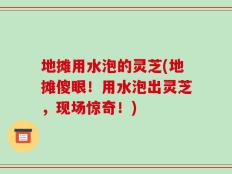 地摊用水泡的灵芝(地摊傻眼！用水泡出灵芝，现场惊奇！)