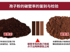 灵芝孢子粉不破壁有效果吗？原来吃了效果不好的原因在于它！