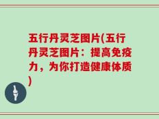 五行丹灵芝图片(五行丹灵芝图片：提高免疫力，为你打造健康体质)