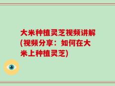 大米种植灵芝视频讲解(视频分享：如何在大米上种植灵芝)