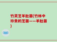 竹灵芝羊肚菌(竹林中珍贵的芝菌——羊肚菌)