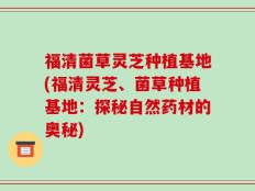 福清菌草灵芝种植基地(福清灵芝、菌草种植基地：探秘自然药材的奥秘)