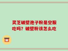 灵芝破壁孢子粉是空服吃吗？破壁粉该怎么吃