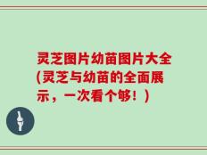 灵芝图片幼苗图片大全(灵芝与幼苗的全面展示，一次看个够！)