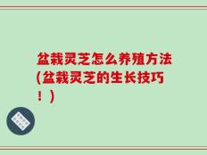 盆栽灵芝怎么养殖方法(盆栽灵芝的生长技巧！)