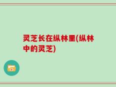 灵芝长在纵林里(纵林中的灵芝)