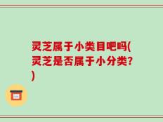 灵芝属于小类目吧吗(灵芝是否属于小分类？)