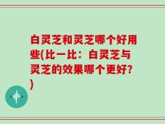 白灵芝和灵芝哪个好用些(比一比：白灵芝与灵芝的效果哪个更好？)