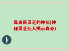 真身是灵芝的神仙(神秘灵芝仙人揭示真身)
