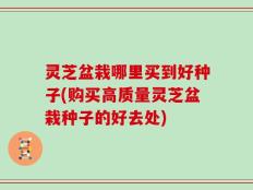 灵芝盆栽哪里买到好种子(购买高质量灵芝盆栽种子的好去处)