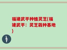 福建武平种植灵芝(福建武平：灵芝栽种基地)