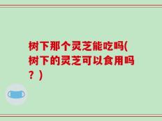 树下那个灵芝能吃吗(树下的灵芝可以食用吗？)
