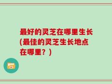 最好的灵芝在哪里生长(最佳的灵芝生长地点在哪里？)