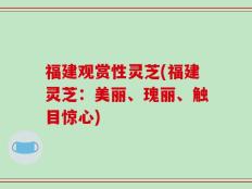福建观赏性灵芝(福建灵芝：美丽、瑰丽、触目惊心)