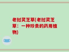 老挝灵芝草(老挝灵芝草：一种珍贵的药用植物)