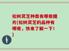 松树灵芝种类有哪些图片(松树灵芝的品种有哪些，快来了解一下！)
