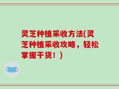 灵芝种植采收方法(灵芝种植采收攻略，轻松掌握干货！)