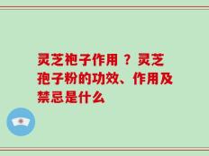 灵芝袍子作用 ？灵芝孢子粉的功效、作用及禁忌是什么