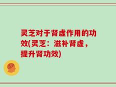 灵芝对于肾虚作用的功效(灵芝：滋补肾虚，提升肾功效)