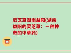 灵芝草湖南益阳(湖南益阳的灵芝草：一种神奇的中草药)